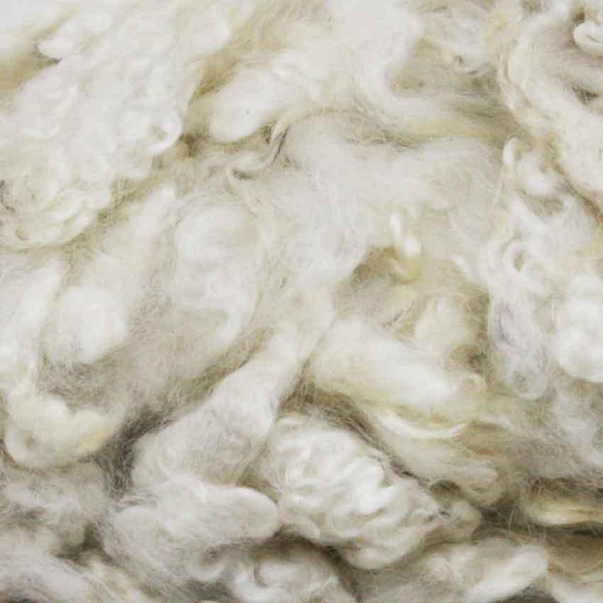 one hundred grams english undyed white english  leicester fleece 