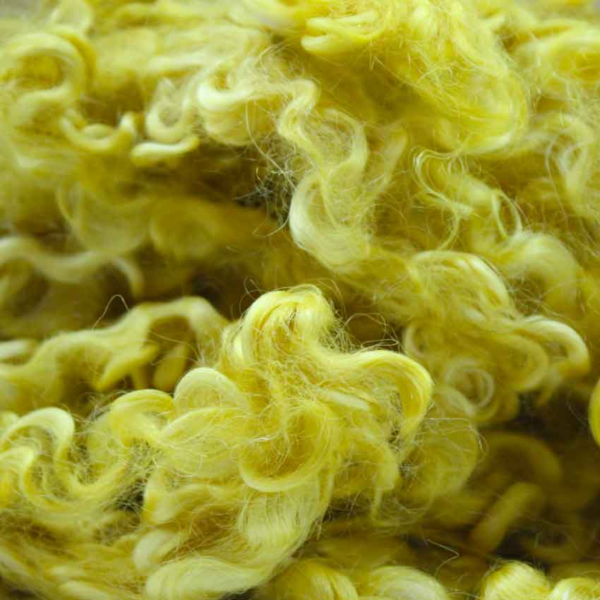 Close up of goldiclocks mohair curls showing shades of deep lemon yellow