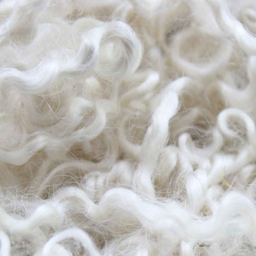 Close up of undyed  mohair curls showing natural white/cream colour
