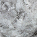 close up  of  wisteria silk filament 