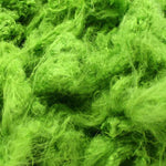 close up  of  willow silk filament 