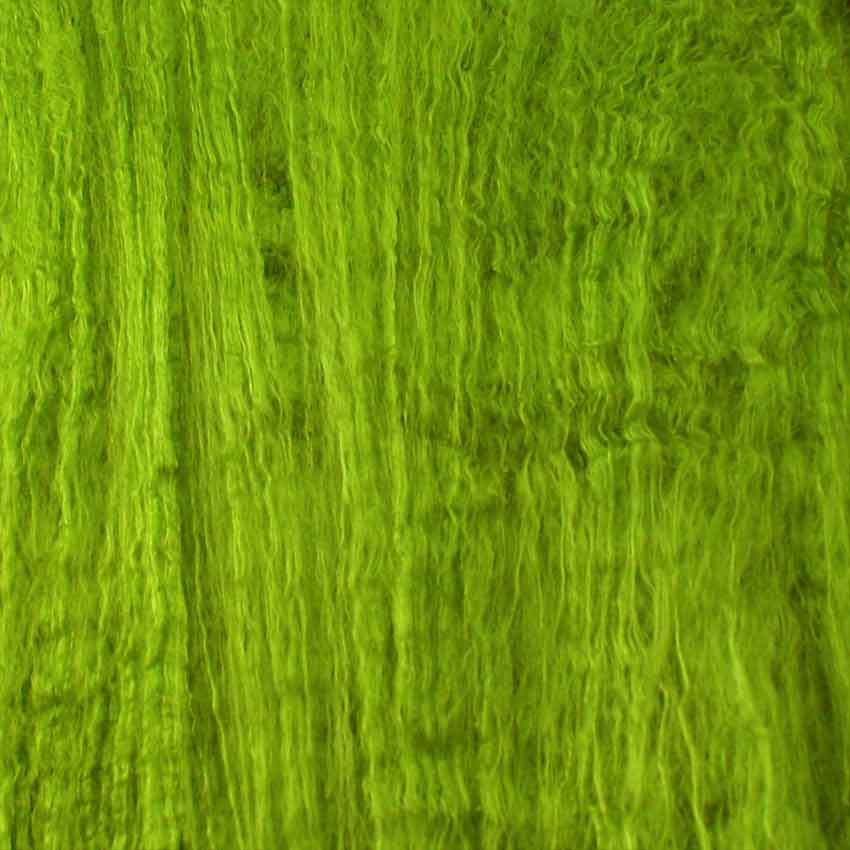 close up of silk lap midori